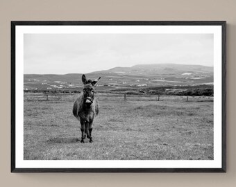 KERRY DONKEY, impression giclée, beaux-arts noir et blanc, photographie de paysage côtier irlandais Ring of Kerry, décoration murale originale Irlande