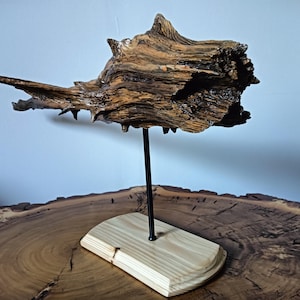 Nature Sculpture &quot;Fish&quot;