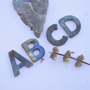May include: A set of four letters, A, B, C, and D, carved from iridescent labradorite stone. The letters are arranged in a line on a white surface. A small sprig of green leaves is also on the surface.