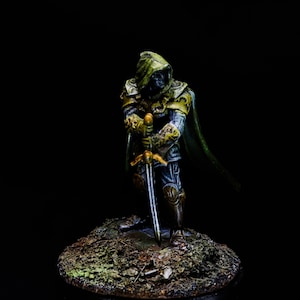 D&D Human Theif Rogue Miniatura, Mazmorras y dragones, Pintado a mano, trabajo de pintura personalizado, mini resina impresa en 3D para modelos Heroquest DnD