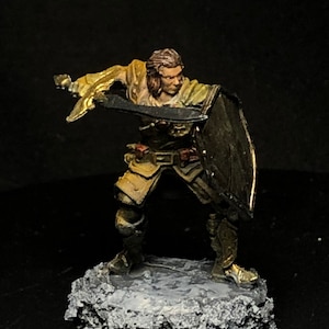 D&D human  champion paladin, warrior, fighter | Dungeons and dragons | Custom hand paint job | Custom 3D printed painted DnD miniatures