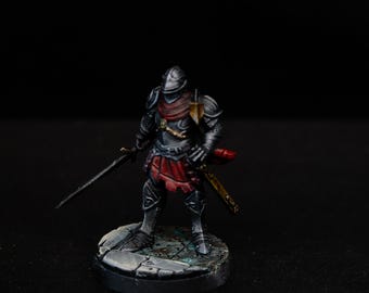 D&D Human paladin Knight warrior Miniature, Dungeons and dragons, custom Hand painted 3d printed miniature for Heroquest And DnD TTRPG