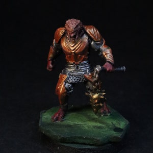 D&D Dragonborn paladín/guerrero miniatura, mazmorras y dragones, pintado a mano, trabajo de pintura personalizado, Wizkids Nolzur&#39;s Marvelous Tabletop RPG