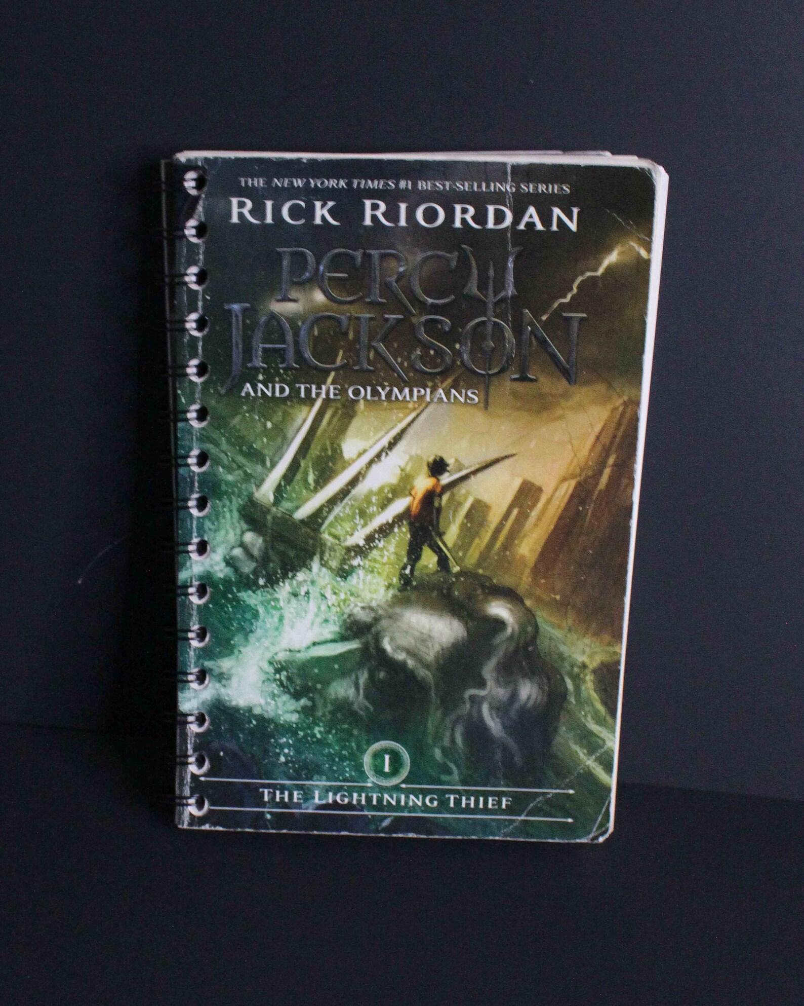 Book Cover Journal: Percy Jackson and the Olympians | Etsy
