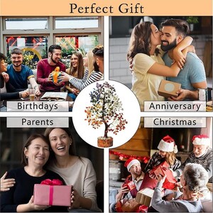 Peut inclure: Un arbre en cristal color&eacute; avec une vari&eacute;t&eacute; de pierres pr&eacute;cieuses, dont l'am&eacute;thyste, la citrine et le quartz rose. L'arbre est pr&eacute;sent&eacute; dans un collage d'images avec des personnes &eacute;changeant des cadeaux pour des anniversaires, des anniversaires de mariage, No&euml;l et d'autres occasions. Cadeau parfait.