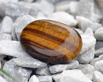 Tiger Eye Palm Stone | Anxiety Stone | Gemstone Palm Stone | Crystal Pebble | Tiger Eye Palm stone in Wholesale | Bulk Crystals