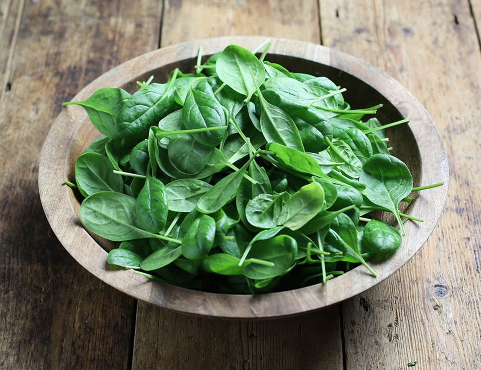 Spinach Baby Organic Seeds Heirloom Open PollinatedNon Etsy