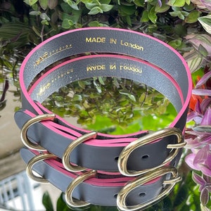 The Grey and Pink Dog Collar image 1