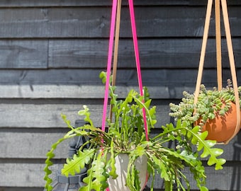 The Shocking Pink Plant Harness