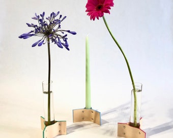 Test Tube Vase