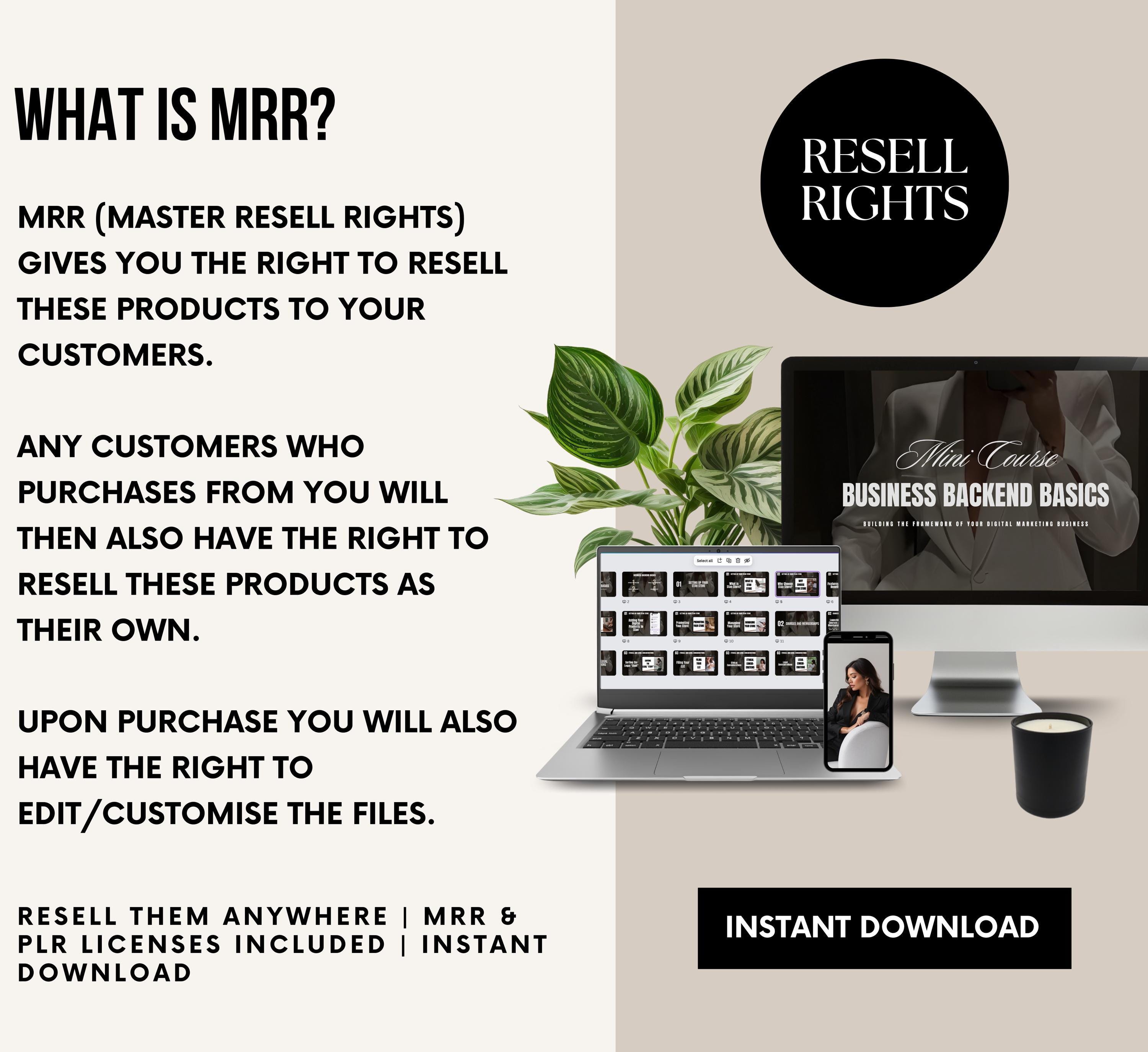 Business Basics Mini Course Canva Template: PLR + MRR (digital Download ...