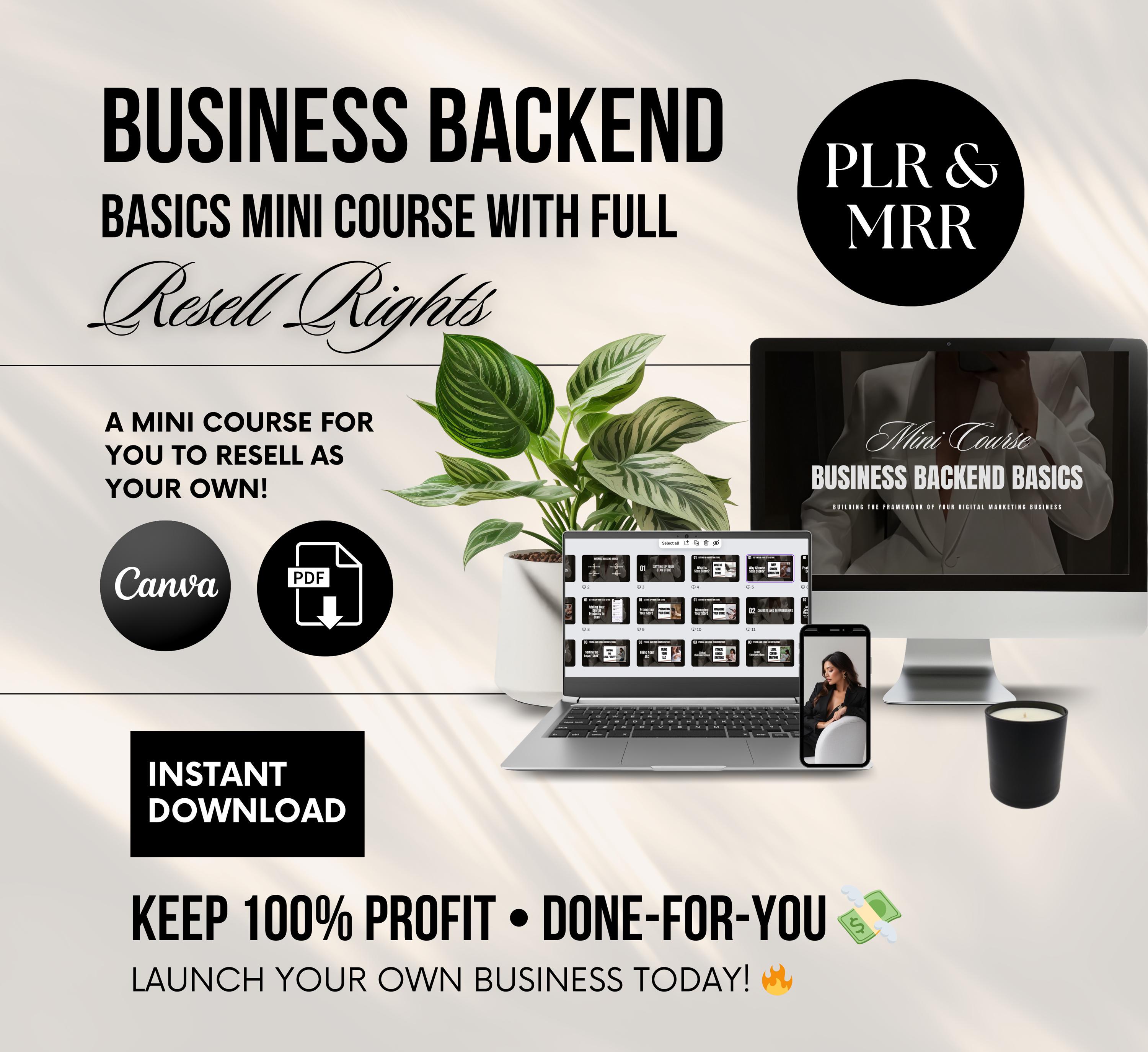 Business Basics Mini Course Canva Template: PLR + MRR (digital Download ...