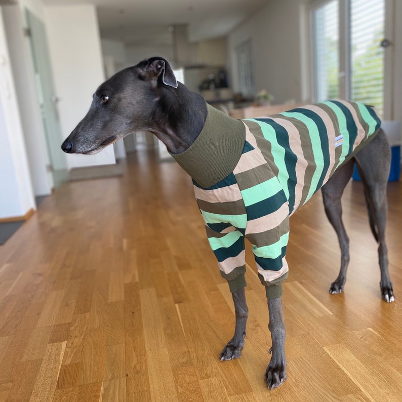 Windhund Bekleidung, Windhund Pullover, Windhund Kleidung Windhund Mantel, galgo kleidung, Windhund Pyjama Bild 4