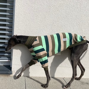 Windhund Bekleidung, Windhund Pullover, Windhund Kleidung Windhund Mantel, galgo kleidung, Windhund Pyjama Bild 3