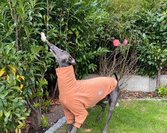 Fleece Greyhound Jumper, Greyhound Pajamas, Greyhound pjs, Lurcher pajamas, Lurcher PJs, Lurcher jumper, Greyhound Sweater Pullover