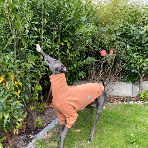 Fleece Greyhound Jumper, Greyhound Pajamas, Greyhound pjs, Lurcher pajamas, Lurcher PJs, Lurcher jumper, Greyhound Sweater Pullover