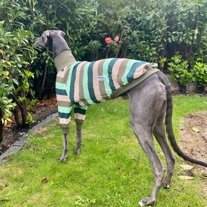 Greyhound Jumper, Greyhound Pyjama's, Greyhound pjs, Lurcher pyjama's, Lurcher PJs, Lurcher jumper, Greyhound Romper, Whippet Jumper afbeelding 5