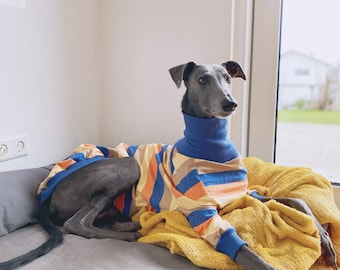 Greyhound Jumper, Greyhound Pyjama's, Greyhound pjs, Lurcher pyjama's, Lurcher PJs, Lurcher trui, Greyhound Romper, Lurcher romper