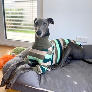 Greyhound Jumper, Greyhound Pyjama's, Greyhound pjs, Lurcher pyjama's, Lurcher PJs, Lurcher jumper, Greyhound Romper, Whippet Jumper afbeelding 1