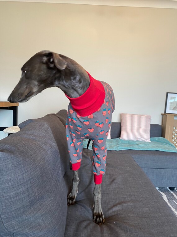 greyhound pyjamas