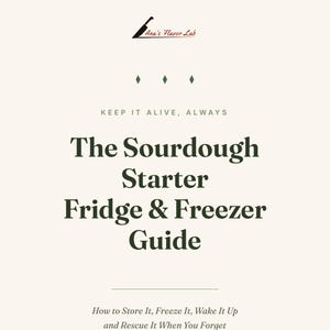 Sourdough Starter Fridge & Freezer Guide | Storage, Freezing  Rescue PDF, Instant Download