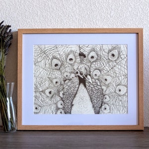 Illustration Paon Noir et Blanc, Peacock, Affiche d'animaux, A3