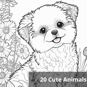 20 páginas para colorir de animais fofos para impressão, folhas para colorir de animais lindos, tamanho carta dos EUA 8,5 "x 11", papéis para colorir, download digital