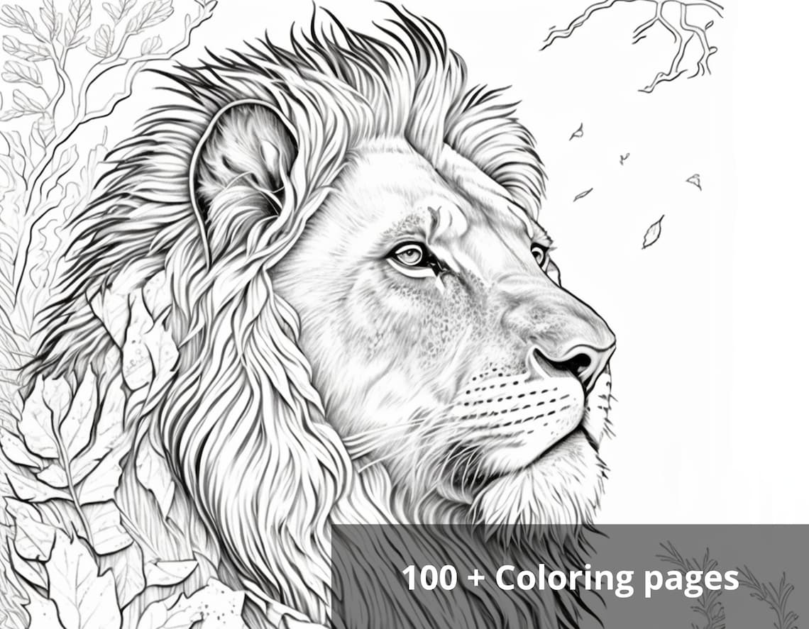 100 + High Quality Coloring Pages, Beautiful Printable Coloring Sheets ...