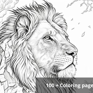 100 + High quality Coloring Pages, Beautiful Printable Coloring Sheets, US Letter Size 8,5&quot; x 11&quot;, Wildlife Coloring Pages, Digital Download