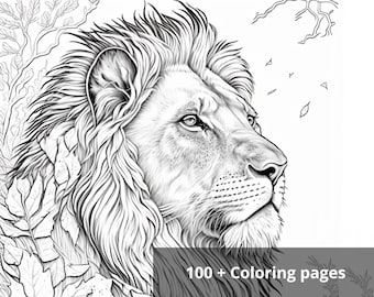 100 + High quality Coloring Pages, Beautiful Printable Coloring Sheets, US Letter Size 8,5" x 11", Wildlife Coloring Pages, Digital Download
