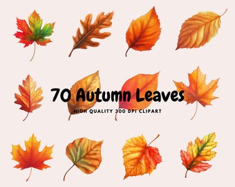 70 Colorful Autumn Leaves Clipart Bundle, High Quality 300 DPI Transparent Images, Fall Clipart, Autumn Clipart Png, Fall Leaves Clipart