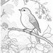 10 Beautiful Birds Printable Coloring Pages, Coloring Sheets for Adults ...