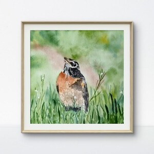 Watercolor American Robin, Watercolor Print, Wall decor
