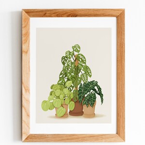 May include: A framed illustration of three potted plants. The plants are a monstera, a pilea, and an alocasia. The plants are in brown pots and are set against a light beige background.