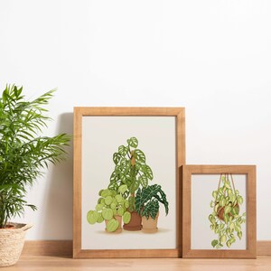 May include: Two framed illustrations of potted plants. The larger frame shows four plants in pots, including a monstera, a philodendron, and two other plants. The smaller frame shows a hanging plant with green and yellow leaves.