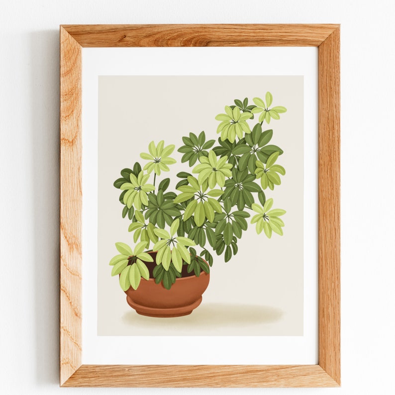 May include: A framed illustration of a potted green and yellow plant with a brown pot. The plant has many leaves and is in a simple, modern style.