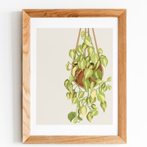 May include: A framed illustration of a hanging plant with green and yellow leaves in a terracotta pot. The plant is hanging from a macrame hanger.