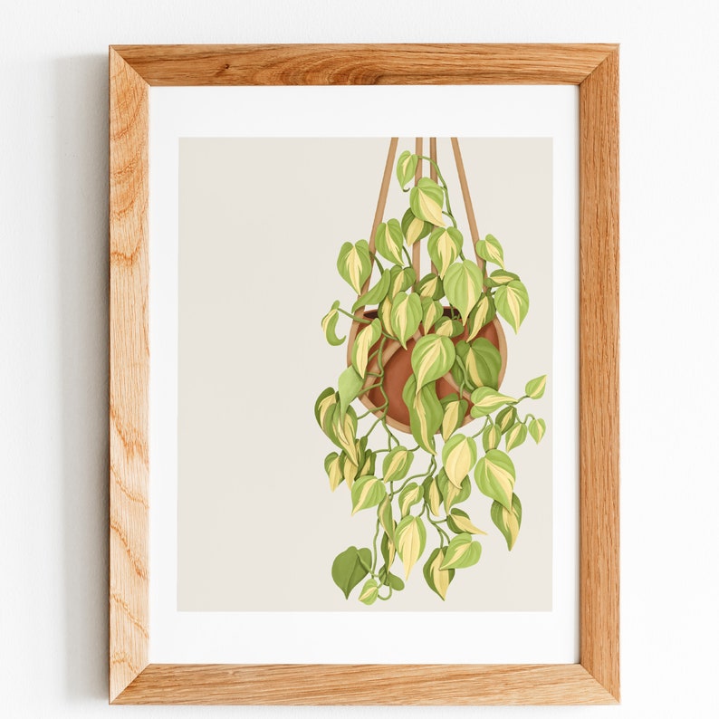 May include: A framed illustration of a hanging plant with green and yellow leaves in a terracotta pot. The plant is hanging from a macrame hanger.
