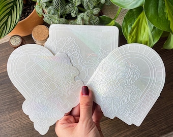 May include: Three translucent, holographic stickers featuring white line art designs of arched windows and potted plants. The stickers display intricate illustrations of monstera leaves and indoor foliage, with a shimmering, iridescent finish that catches the light.