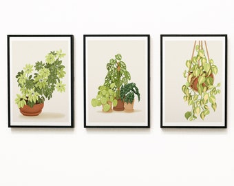 May include: Three framed prints of different houseplants. The first print shows a green leafy plant in a brown pot. The second print shows a group of three green plants in brown pots. The third print shows a hanging plant with green and yellow leaves in a brown pot.