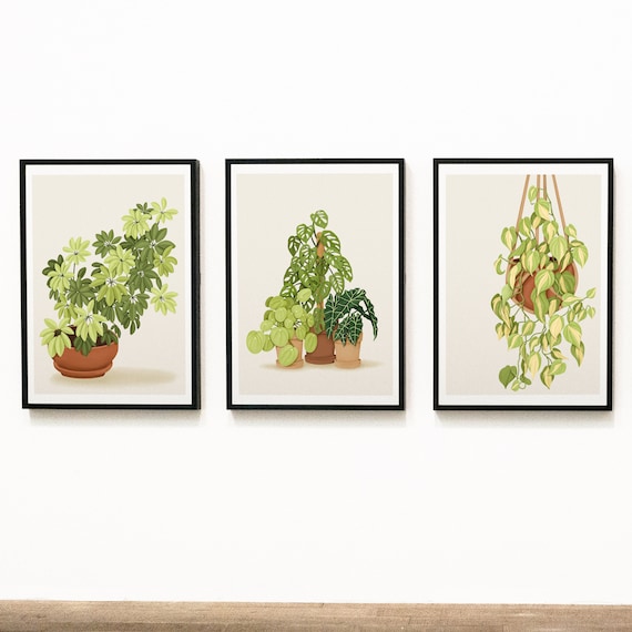 Botanical Art Print Set: Plant Illustrations, Home Decor