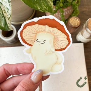 MAGNET | Mushroom Red Magnet | Mushroom Soft Magnet Deco | Mushroom Home Deco Magnets | Toadstool Fungi Mushroom Art| Funny Magnet