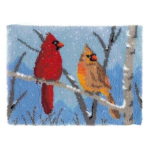 Latch Hook Rug Kits Embroidery DIY Two Birds Pattern Crochet Needlework Crafts for Adults and Kids Beginners 20"x 15"