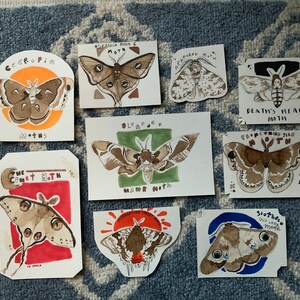 May include: A collection of eight illustrated cards featuring different types of moths. Each card has a watercolor illustration of a moth with its common name and scientific name. The cards are on a blue and white patterned surface.