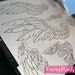 60 Wings LineWork Stamps, New Procreate Brushes, Graphic Tattoo Tool, PeonyBrush 