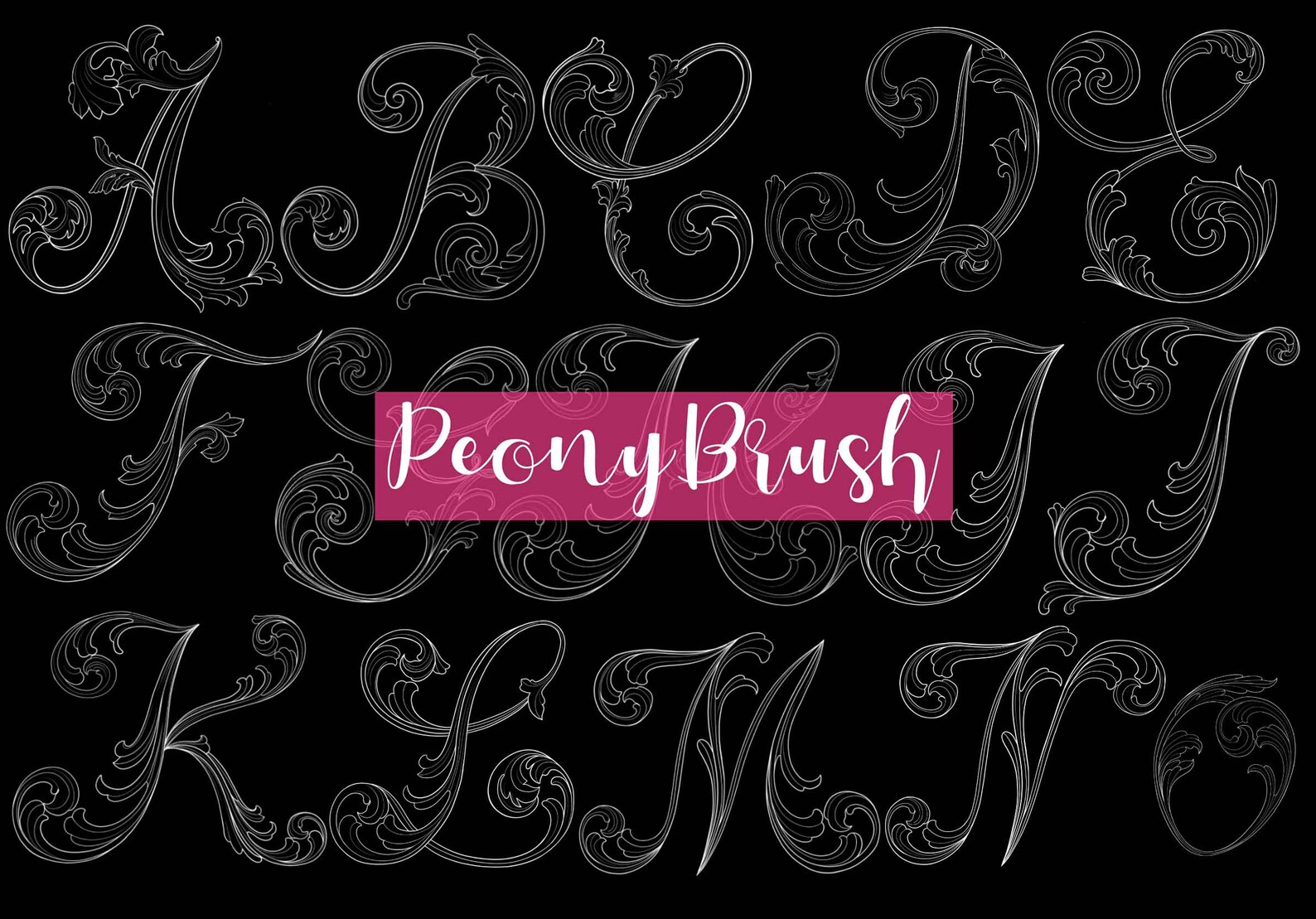 Acanthus Alphabet Brushes Letters Stamps New Procreate Etsy