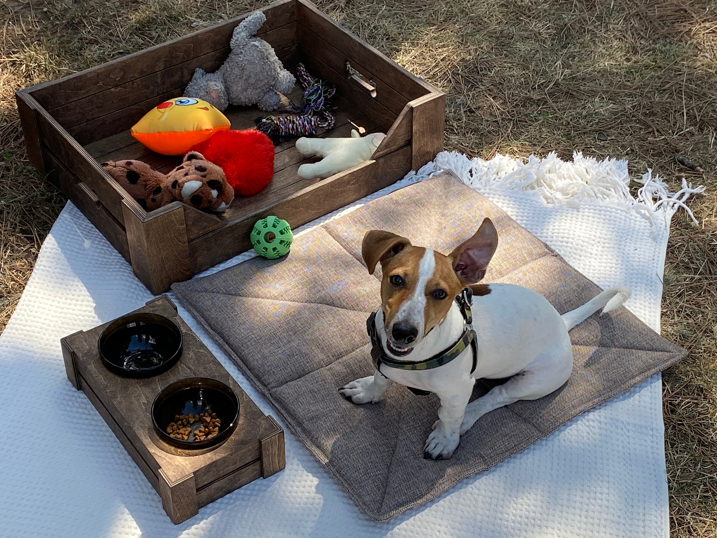 Dog Toy Box and Feeding Station Set with Dog plaid Etsy