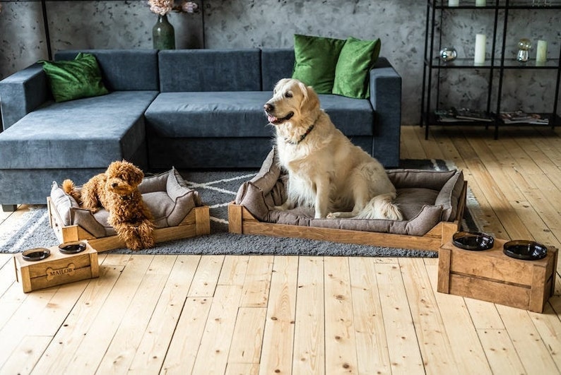 6+ Cool Wooden Dog Beds for Australians