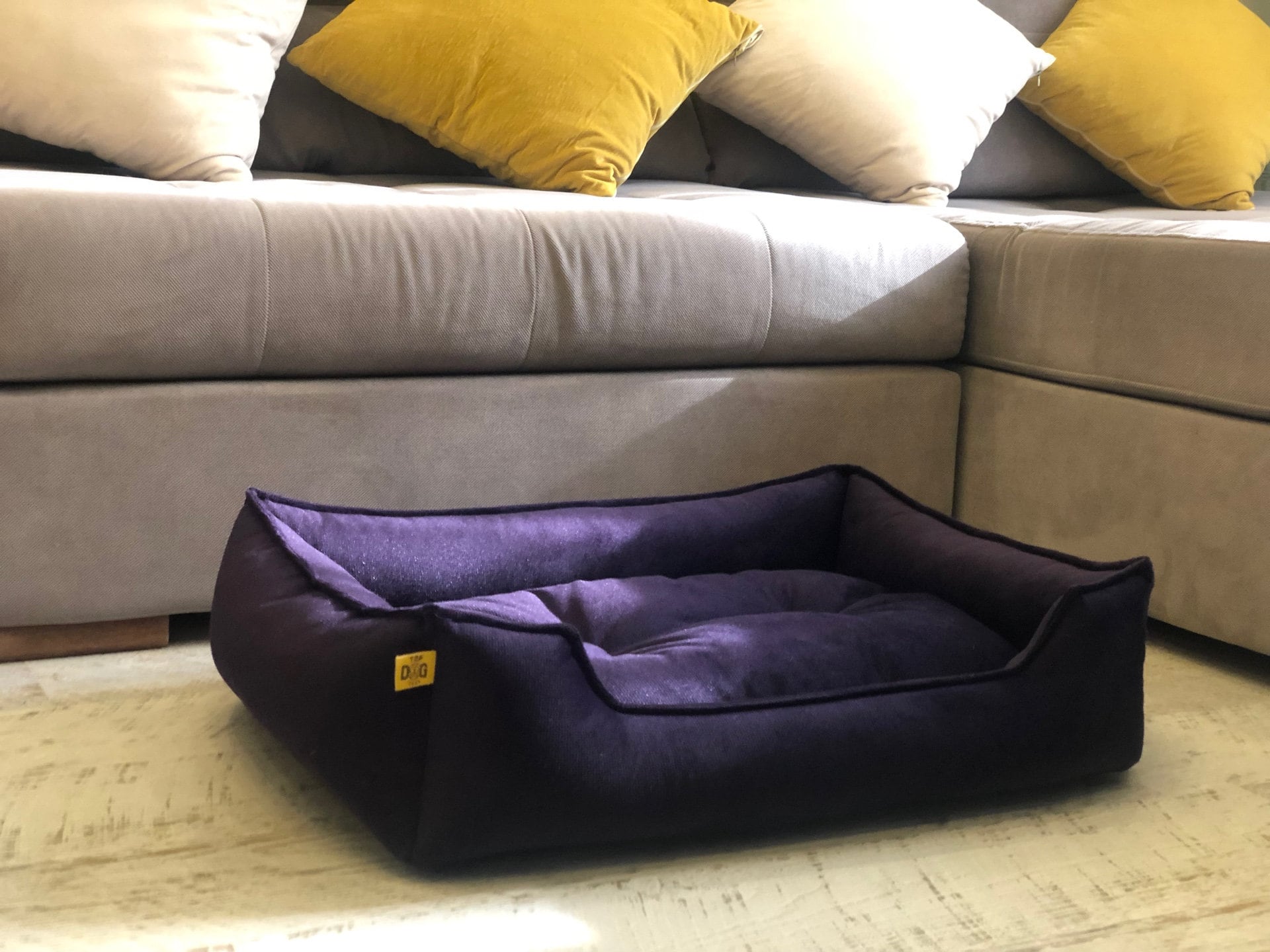 Purple bed sales for dogs