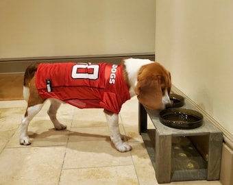 Dog Feeding Station Dog Feeder Modern Dog Bowl Set | Elevated Pet feeder | Glass Pet bowls | Raised Dog bowls | Wood Rustic Pet Feeder